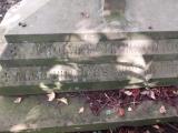 image of grave number 171073